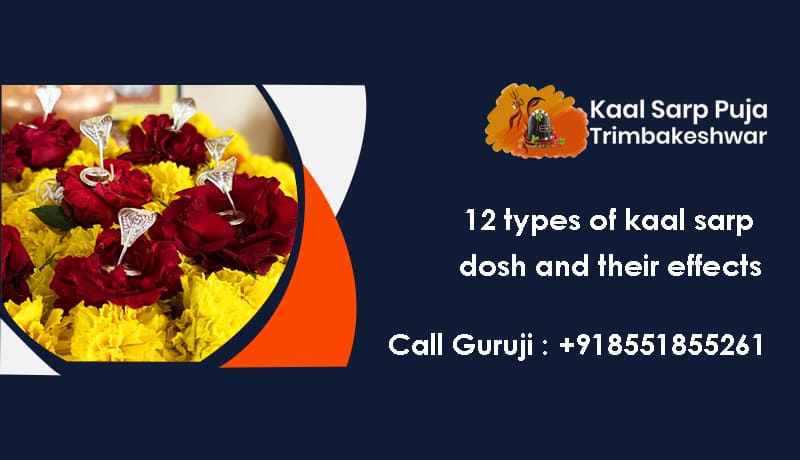 12 Types of Kaal Sarp Dosh and Their Effects